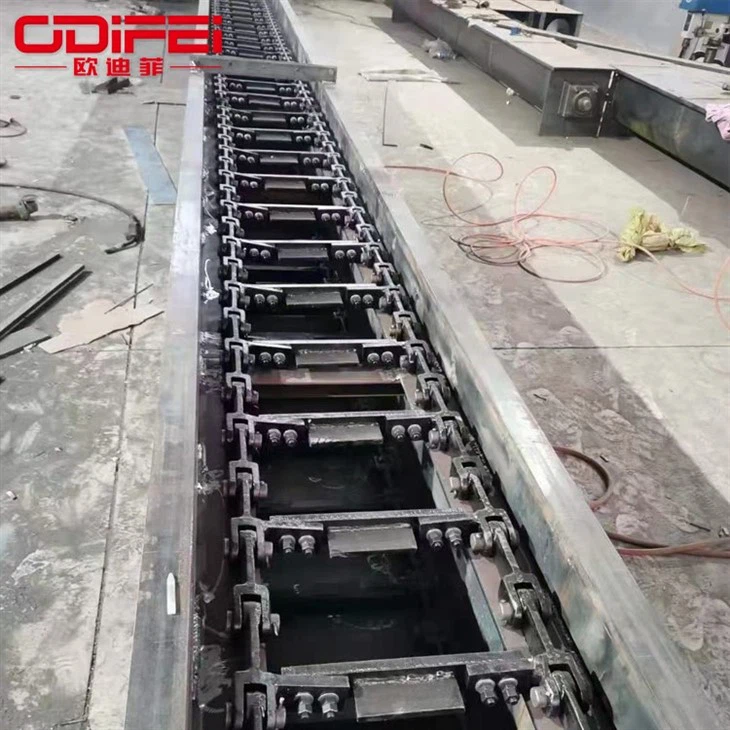 heavy scraper conveyor (4)